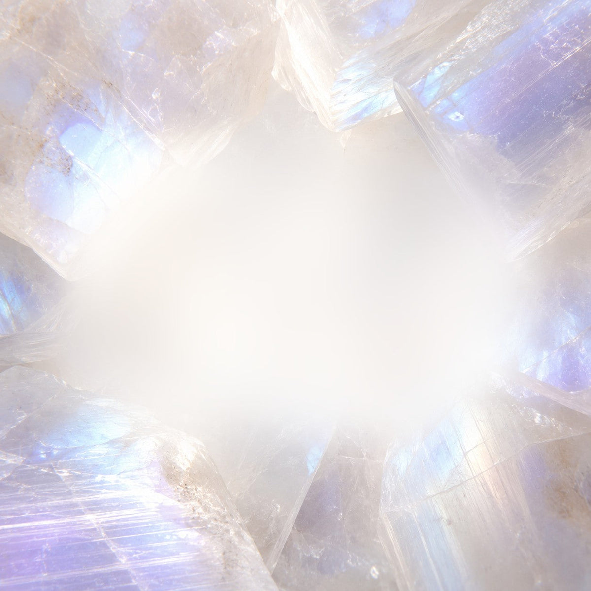 Harmony & Alignment